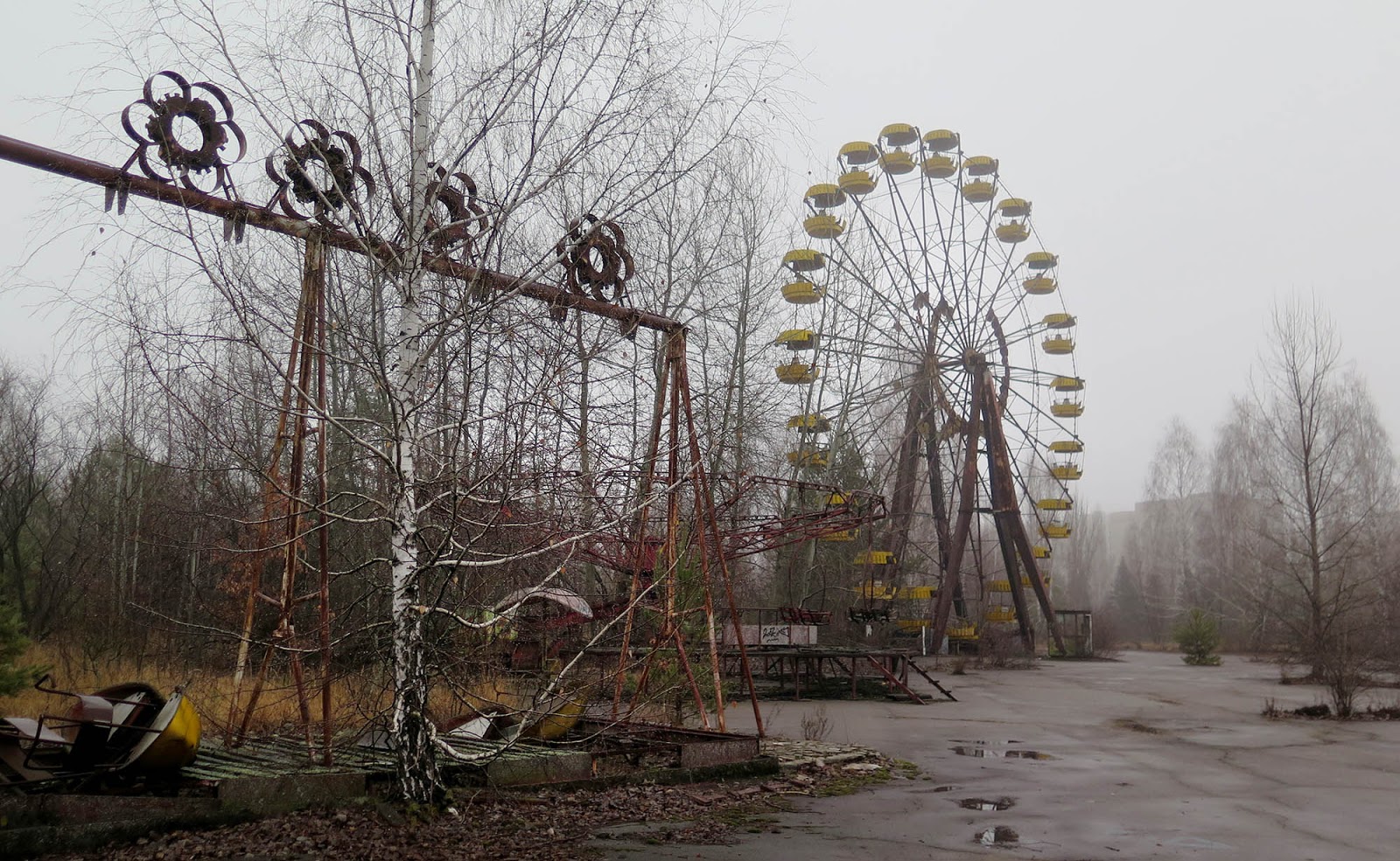 Chernobyl oggi è abitata? - TelodicoIo